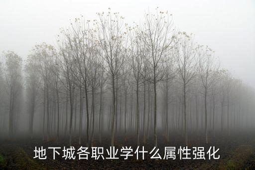 地下城各职业学什么属性强化