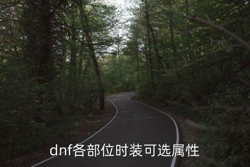 dnf各部位时装可选属性