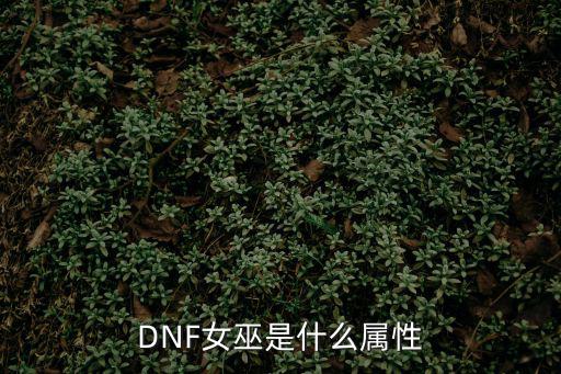 DNF女巫是什么属性