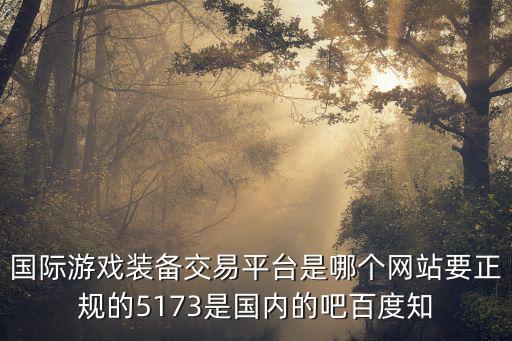 外国游戏装备买卖平台叫什么，国际游戏装备交易平台是哪个网站要正规的5173是国内的吧百度知