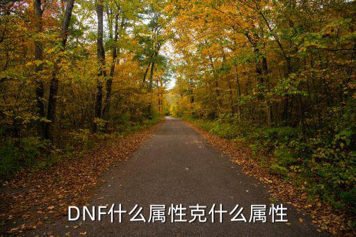 DNF什么属性克什么属性