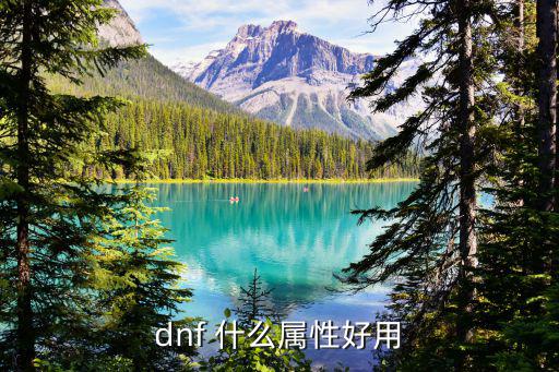 dnf 什么属性好用