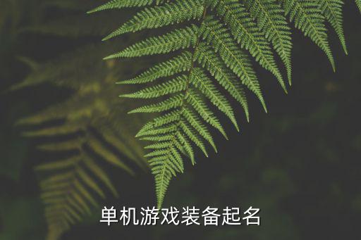 游戏装备起名有什么用，单机游戏装备起名