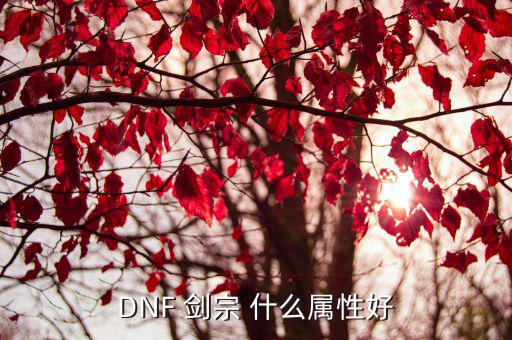 dnf 剑宗用什么属性，DNF剑宗的技能是什么属性的