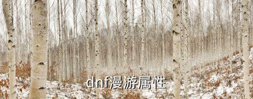 dnf漫游属性