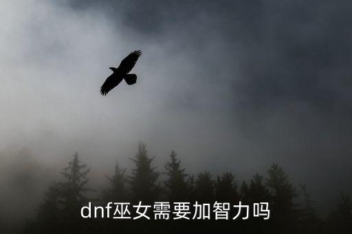 dnf巫女需要加智力吗