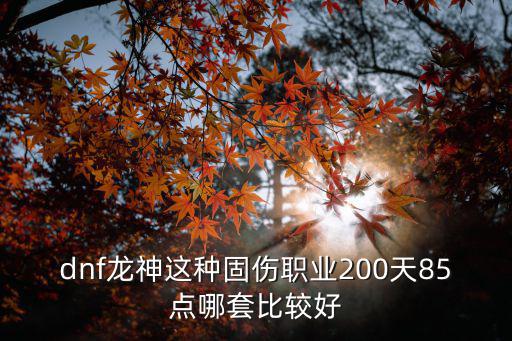 dnf龙神这种固伤职业200天85点哪套比较好