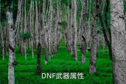 DNF武器属性