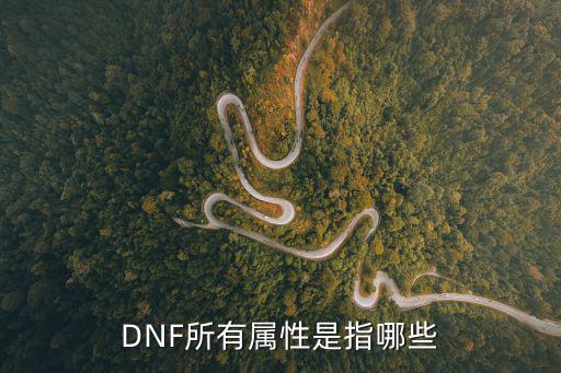 dnf全属性有什么，dnf所有属性是哪些属性所有异常属性又是哪些属性