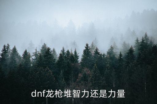 dnf龙枪堆智力还是力量