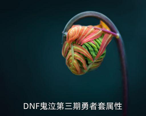 DNF鬼泣第三期勇者套属性