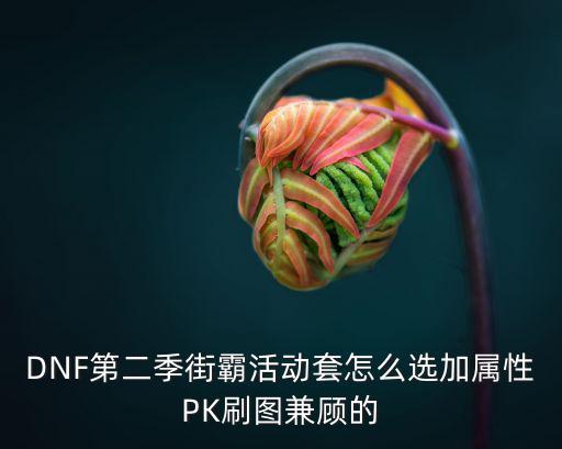 DNF第二季街霸活动套怎么选加属性PK刷图兼顾的