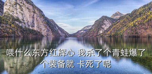 喂什么东方红辉心 我杀了个青蛙爆了个装备就 卡死了呢