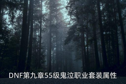 DNF第九章55级鬼泣职业套装属性