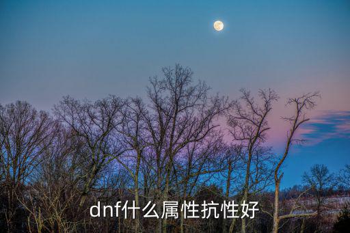 dnf什么属性抗性好