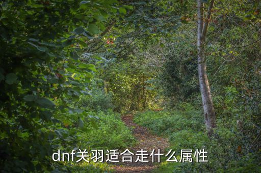 dnf关羽适合走什么属性