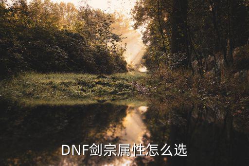 dnf剑宗带什么属性，DNF剑宗属性怎么选