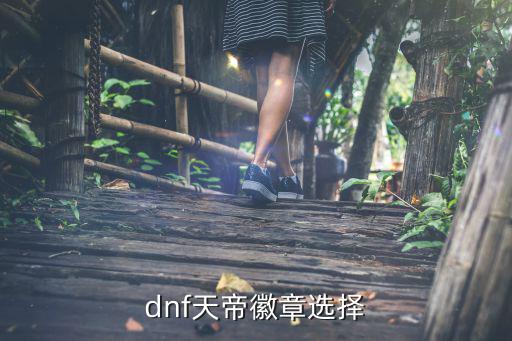 dnf天帝徽章选择