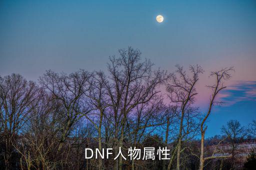 DNF人物属性