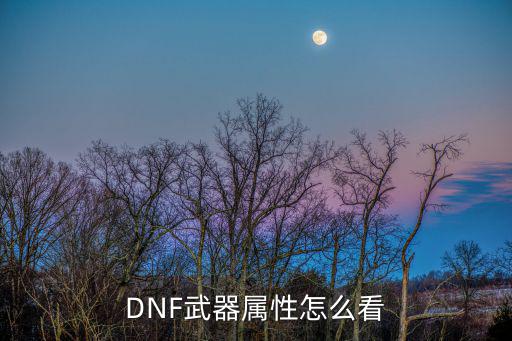 DNF武器属性怎么看