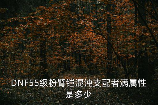 DNF55级粉臂铠混沌支配者满属性是多少