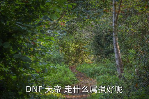 DNF 天帝 走什么属强好呢