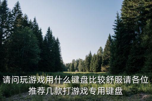 请问玩游戏用什么键盘比较舒服请各位推荐几款打游戏专用键盘