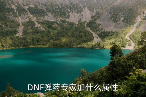 DNF弹药专家加什么属性