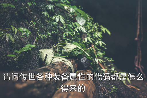 请问传世各种装备属性的代码都是怎么得来的