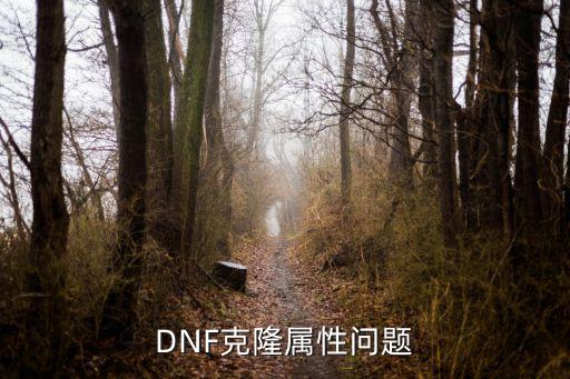 DNF克隆属性问题