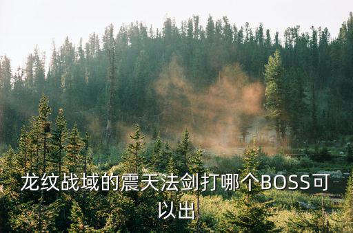 龙纹战域的震天法剑打哪个BOSS可以出