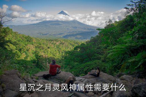 星沉之月灵风神属性需要什么