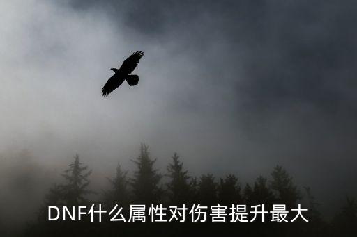 dnf什么属性攻击最高，DNF什么属性对伤害提升最大