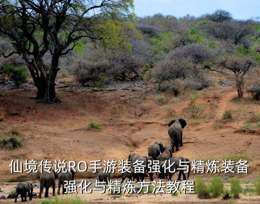 仙境传说RO手游装备强化与精炼装备强化与精炼方法教程