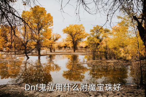 Dnf鬼泣用什么附魔宝珠好