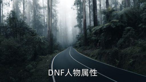 DNF人物属性