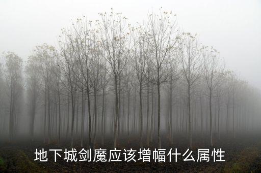 地下城剑魔应该增幅什么属性