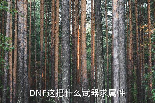 DNF这把什么武器求属性