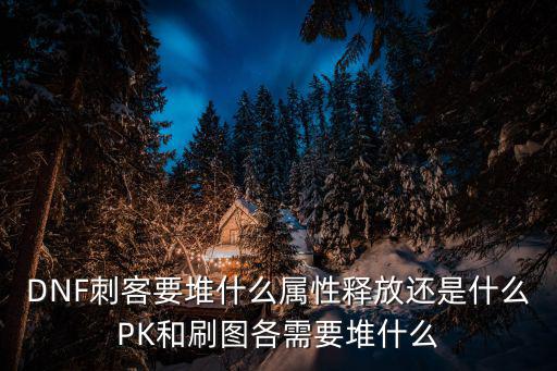 DNF刺客要堆什么属性释放还是什么PK和刷图各需要堆什么