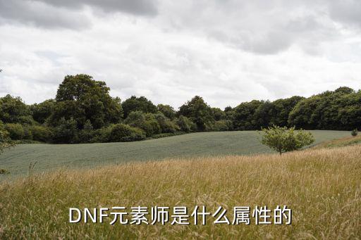 dnf元素师什么属性，DNF元素师是什么属性的