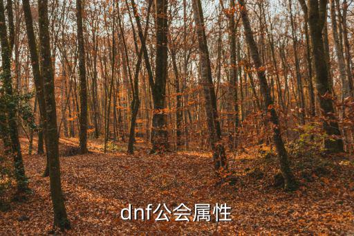 dnf公会属性