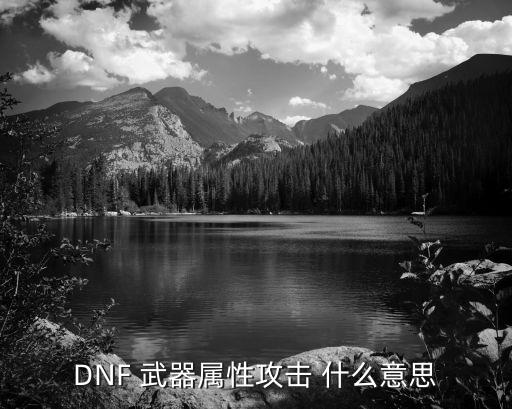 DNF 武器属性攻击 什么意思