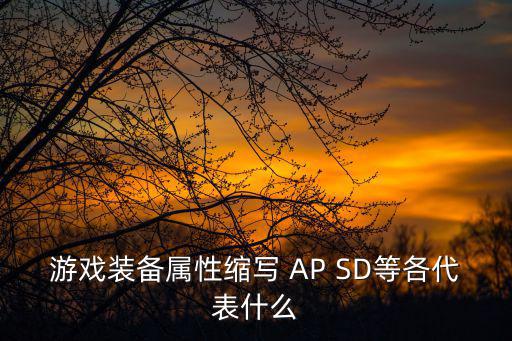 游戏装备属性缩写 AP SD等各代表什么