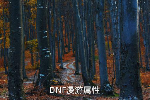 DNF漫游属性