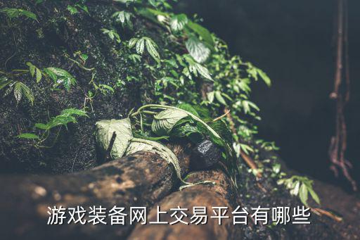 游戏装备网上交易平台有哪些