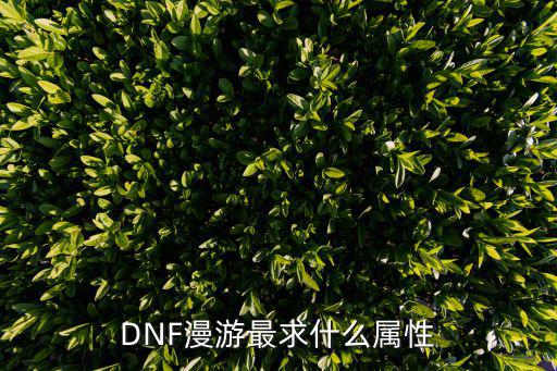 DNF漫游最求什么属性