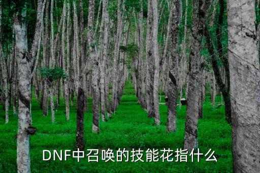 DNF中召唤的技能花指什么