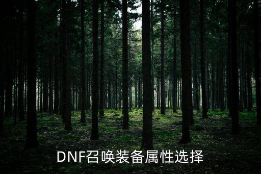 DNF召唤装备属性选择