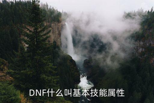 dnf技能属性是什么，DNF中属性是干什么的