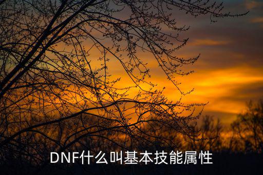 DNF什么叫基本技能属性